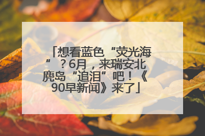 想看蓝色“荧光海”？6月，来瑞安北麂岛“追泪”吧！《90早新闻》来了