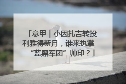 意甲｜小因扎吉转投利雅得新月，谁来执掌“蓝黑军团”帅印？