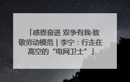 感恩奋进 双争有我·致敬劳动模范｜李宁：行走在高空的“电网卫士”