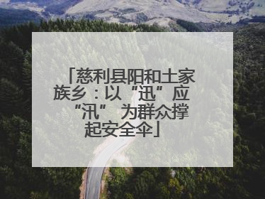 慈利县阳和土家族乡：以“迅”应“汛” 为群众撑起安全伞