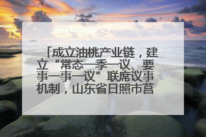 成立油桃产业链，建立“常态一季一议、要事一事一议”联席议事机制，山东省日照市莒县果庄镇——13个党小组“全周期”育果