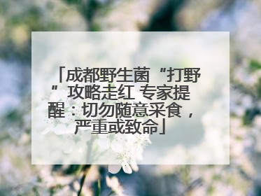 成都野生菌“打野”攻略走红 专家提醒：切勿随意采食，严重或致命