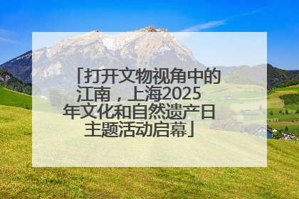 打开文物视角中的江南，上海2025年文化和自然遗产日主题活动启幕