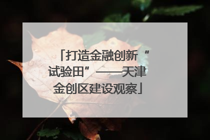 打造金融创新“试验田”——天津金创区建设观察