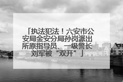 执法犯法！六安市公安局金安分局孙岗派出所原指导员、一级警长刘军被“双开”