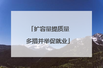 扩容量提质量 多措并举促就业