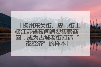 扬州东关街、皮市街上榜江苏省夜间消费集聚商圈，成为古城老街打造“夜经济”的样本