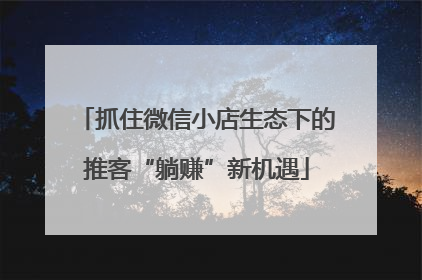抓住微信小店生态下的推客“躺赚”新机遇