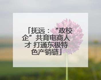抚远：“政校企”共育电商人才 打通东极特色产销链
