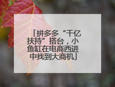 拼多多“千亿扶持”搭台，小鱼缸在电商西进中找到大商机