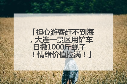 担心游客赶不到海，大连一景区用铲车日撒1000斤蚬子！情绪价值拉满！