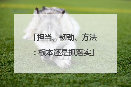 担当、韧劲、方法：根本还是抓落实