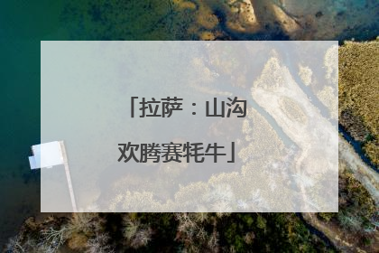 拉萨：山沟欢腾赛牦牛