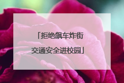 拒绝飙车炸街 交通安全进校园