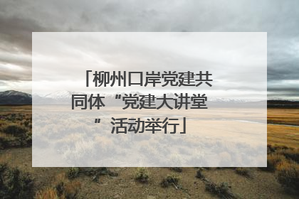 柳州口岸党建共同体“党建大讲堂”活动举行
