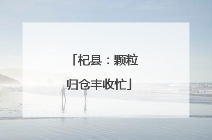杞县：颗粒归仓丰收忙