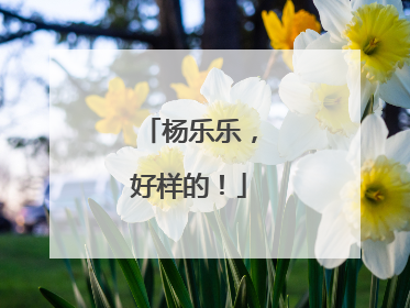 杨乐乐，好样的！