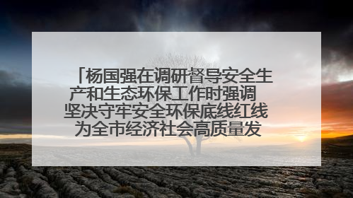 杨国强在调研督导安全生产和生态环保工作时强调 坚决守牢安全环保底线红线 为全市经济社会高质量发展提供坚强保障