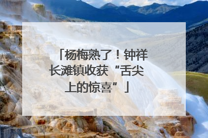 杨梅熟了！钟祥长滩镇收获“舌尖上的惊喜”