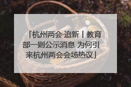 杭州两会·追新丨教育部一则公示消息 为何引来杭州两会会场热议
