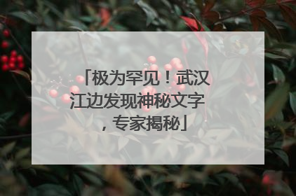 极为罕见！武汉江边发现神秘文字，专家揭秘