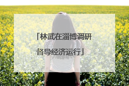 林武在淄博调研督导经济运行
