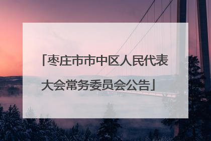 枣庄市市中区人民代表大会常务委员会公告