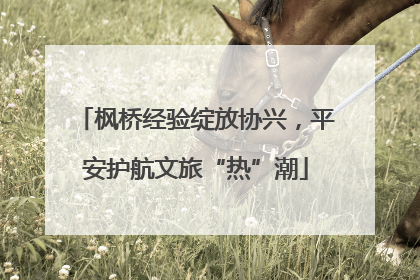 枫桥经验绽放协兴，平安护航文旅“热”潮