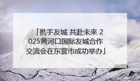 携手友城 共赴未来 2025黄河口国际友城合作交流会在东营市成功举办