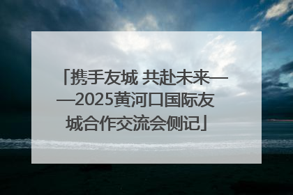 携手友城 共赴未来——2025黄河口国际友城合作交流会侧记