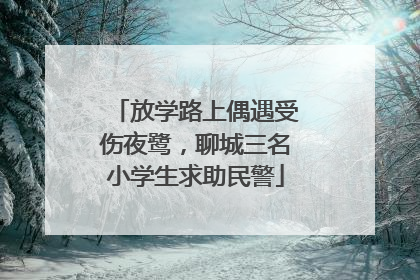 放学路上偶遇受伤夜鹭，聊城三名小学生求助民警