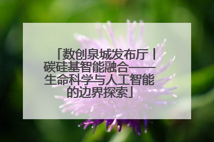 数创泉城发布厅丨碳硅基智能融合——生命科学与人工智能的边界探索