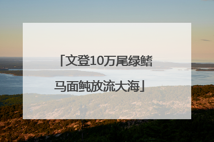 文登10万尾绿鳍马面鲀放流大海