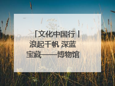 文化中国行丨浪起千帆 深蓝宝藏——博物馆里的海丝遗珍