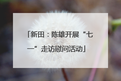 新田：陈雄开展“七一”走访慰问活动