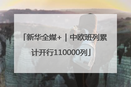 新华全媒+｜中欧班列累计开行110000列