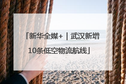 新华全媒+｜武汉新增10条低空物流航线