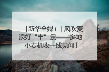 新华全媒+｜风吹麦浪好“丰”景——多地小麦机收一线见闻