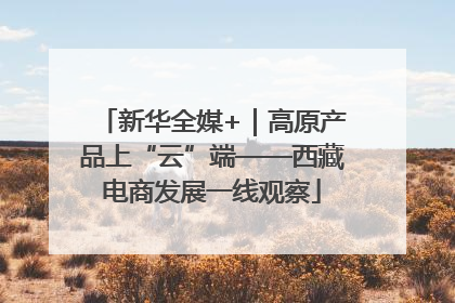 新华全媒+｜高原产品上“云”端——西藏电商发展一线观察