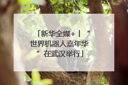 新华全媒+丨“世界机器人嘉年华”在武汉举行