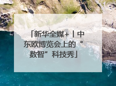 新华全媒+丨中东欧博览会上的“数智”科技秀