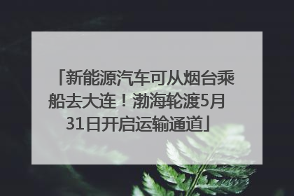 新能源汽车可从烟台乘船去大连！渤海轮渡5月31日开启运输通道