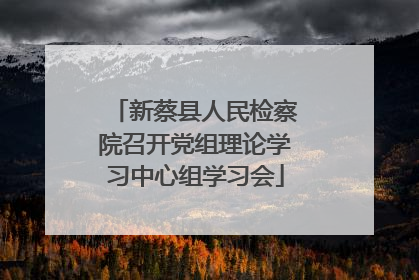 新蔡县人民检察院召开党组理论学习中心组学习会