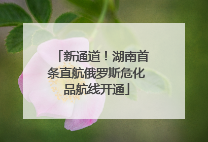 新通道！湖南首条直航俄罗斯危化品航线开通