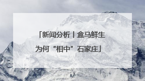 新闻分析丨盒马鲜生为何“相中”石家庄