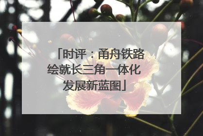 时评：甬舟铁路绘就长三角一体化发展新蓝图