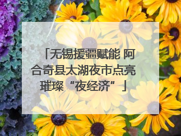 无锡援疆赋能 阿合奇县太湖夜市点亮璀璨“夜经济”