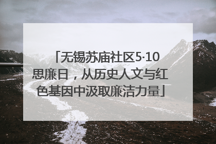 无锡苏庙社区5·10思廉日，从历史人文与红色基因中汲取廉洁力量