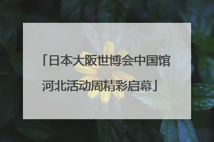 日本大阪世博会中国馆河北活动周精彩启幕