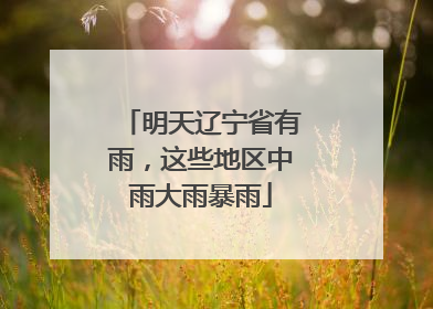 明天辽宁省有雨，这些地区中雨大雨暴雨